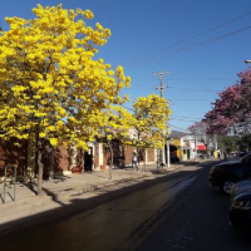 解放者圣马丁将军镇图片