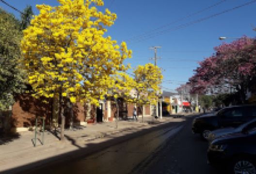 Biblioteca Popular Bartolomé Mtre景点图片