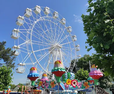 Amusement Park