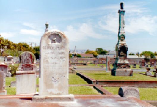 Mount Eden Cemetery景点图片