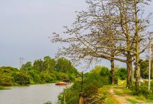Cầu Âu, Yên Lâm景点图片