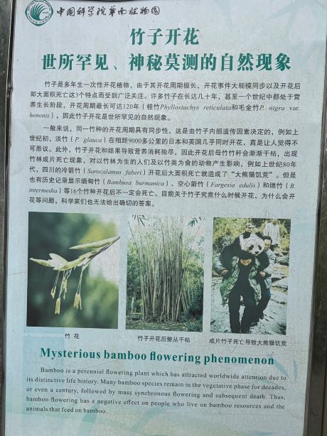华南植物园景点图片 28