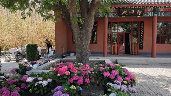 玉佛寺
