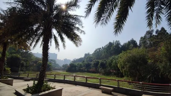 雲山公園