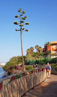 Senda litoral de Estepona-埃斯特波纳