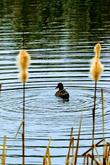 Spielplatz-瓦登伯格