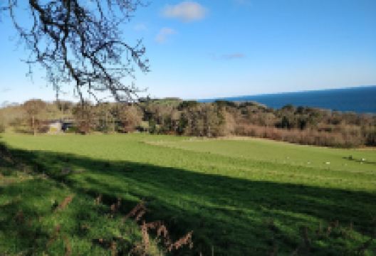 Carnfunnock Country Park景点图片