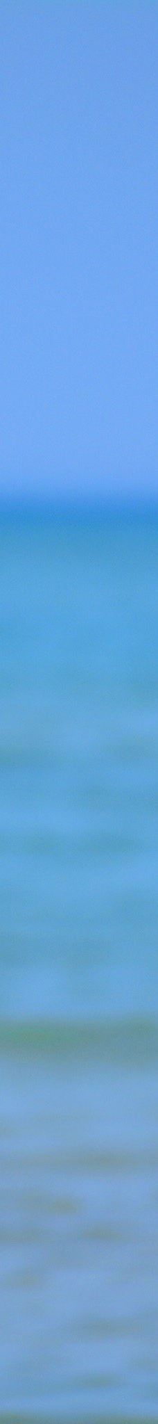 Pinery Provincial Park-大本德