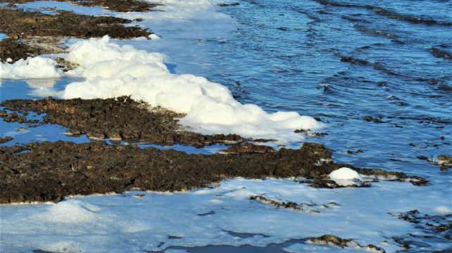 5-Day Yellowstone National Park Tour from Salt Lake City·Grand Teton, Artist Point, Yellowstone Bear World, Hayden Valley