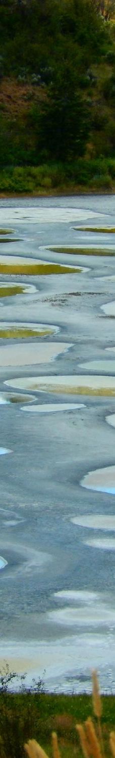 斑点湖-奥索尤斯