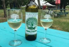 Palaia Vineyards Winery景点图片