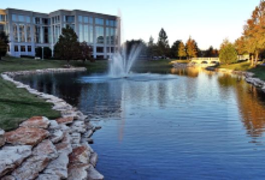Texas Sculpture Garden景点图片