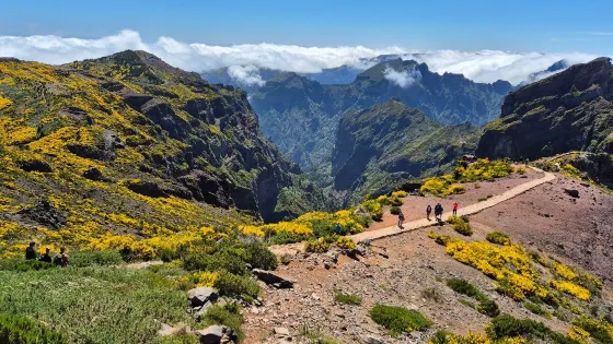 阿雷埃魯峰