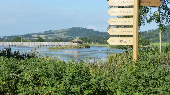 Seaton Wetlands Nature Reserve