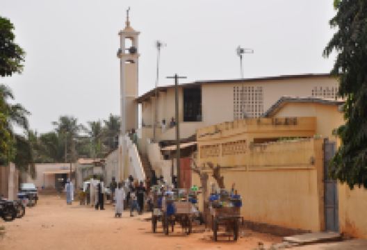 Grande Mosquee景点图片