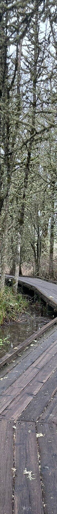 Jackson-Frazier Wetlands-本顿县