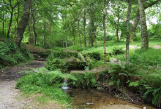 Parque Natural de Cotorredondo景点图片