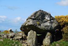 Carrickaholten Forest.景点图片