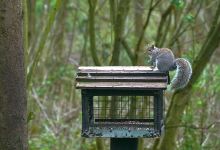 Moore Nature Reserve景点图片