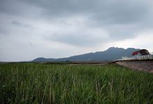 Gangjin Bay Ecological Park景点图片