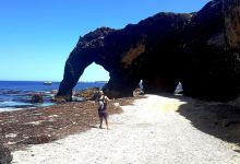 Playa Trompa de Elefante景点图片