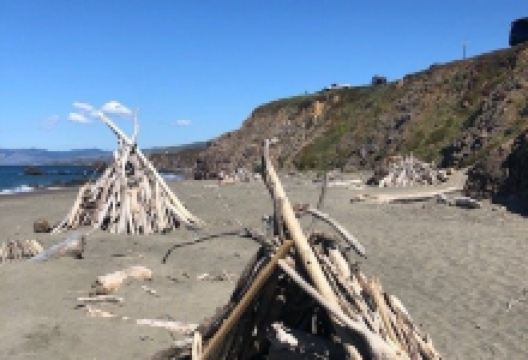 Sonoma Coast State Beach - Salmon Creek景点图片