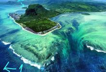 Mauritius Dolphins - Swim with Dolphins景点图片