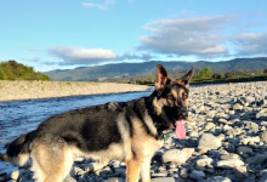 Poet's Park景点图片