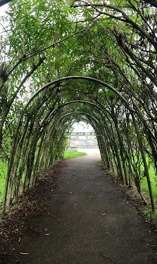 维多利亚公园-贝尔法斯特