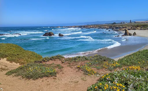 Pudding Creek Beach