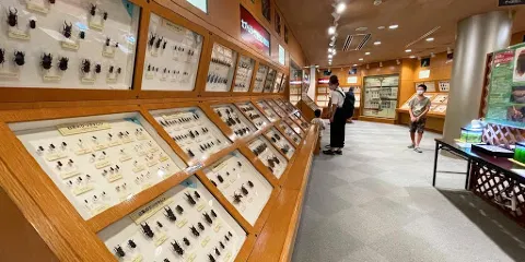 石川県ふれあい昆蟲館