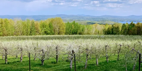 Stone Brook Hill Farm, LLC.