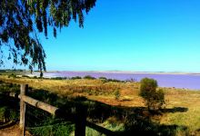 Bumbunga Lake Lookout景点图片