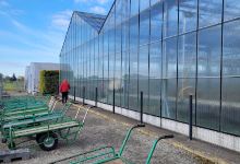 Fontorbes Horticulture购物图片