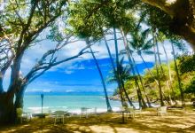 Turtle Creek Beach景点图片