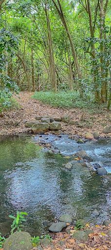 Vaipō Waterfall-努库希瓦岛