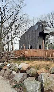 Chemnitz Zoo-开姆尼茨