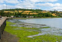 Humedal De Aves景点图片