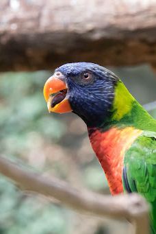 Butterfly Park Empuriabrava-Alt Emporda