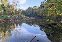 Slepé rameno řeky Moravy景点图片