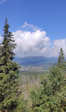 Poledník-普拉斯利