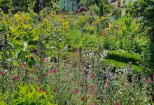 Oberlausitzer Bauerngarten景点图片
