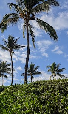 Po‘olenalena Beach Park-维雷亚