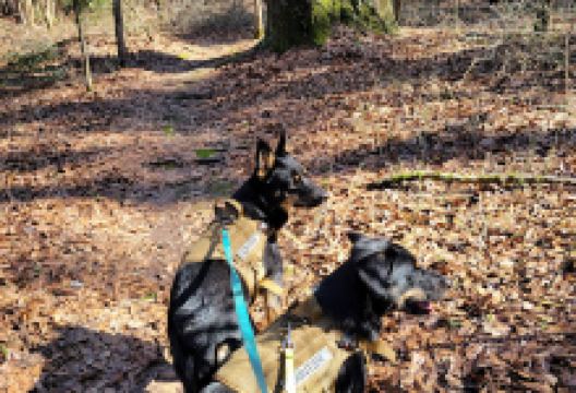 Atlanta MTB Trail (City Park)景点图片
