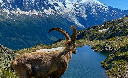 Lacs des Chéserys Lacs des Cheserys