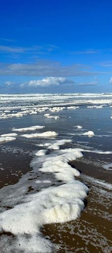 Public Beach Access 35th Street-林肯城