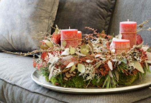 STARKL Ges.mb.H., Garden Center购物图片