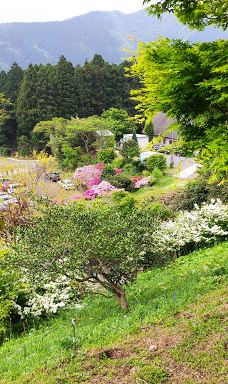 河内藤园-北九州