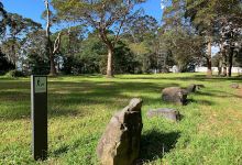 Mount Lofty Lookout景点图片