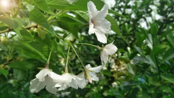 運糧河濕地公園